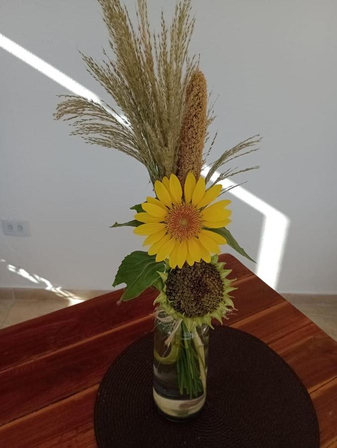 Chales Recanto Das Flores Rn มอนเต ดาส กาเมเลราส ภายนอก รูปภาพ