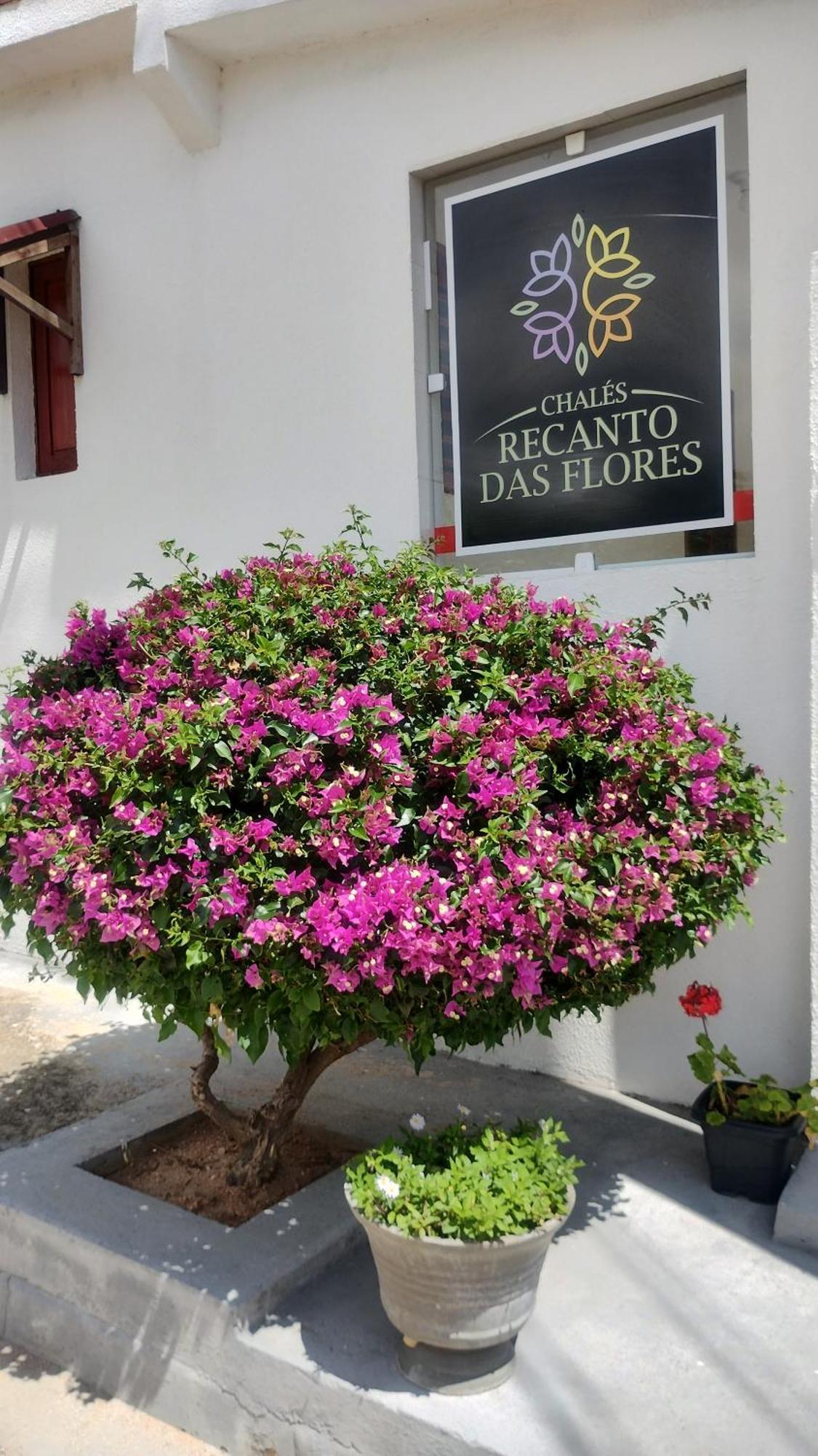 Chales Recanto Das Flores Rn มอนเต ดาส กาเมเลราส ภายนอก รูปภาพ