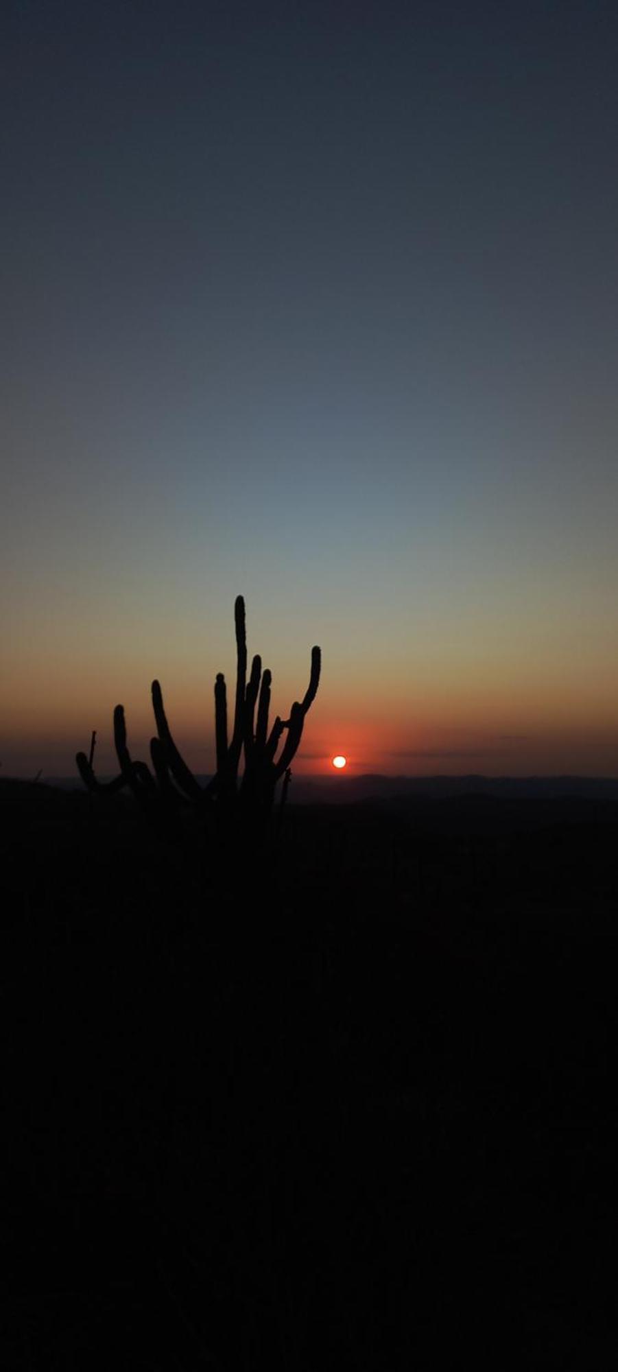 Chales Recanto Das Flores Rn มอนเต ดาส กาเมเลราส ภายนอก รูปภาพ